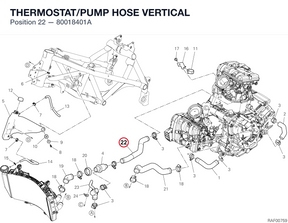 THERMOSTAT/PUMP HOSE VERTICAL 80018401A diagram position