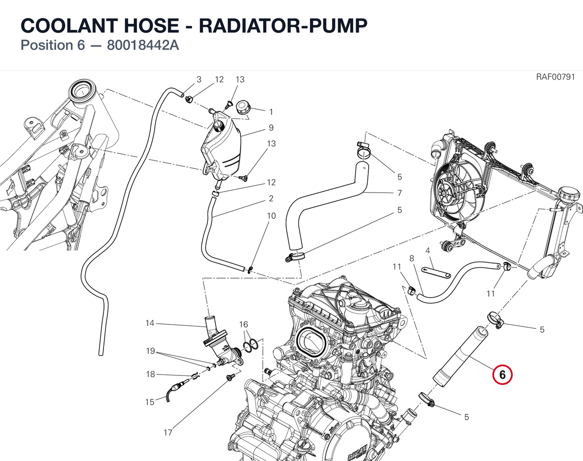 COOLANT HOSE - RADIATOR-PUMP 80018442A diagram position