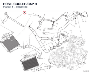 HOSE, COOLER/CAP H 80020042B diagram position