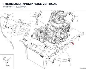 THERMOSTAT/PUMP HOSE VERTICAL 80022372A diagram position