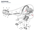 DIAPHRAGM