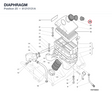 DIAPHRAGM