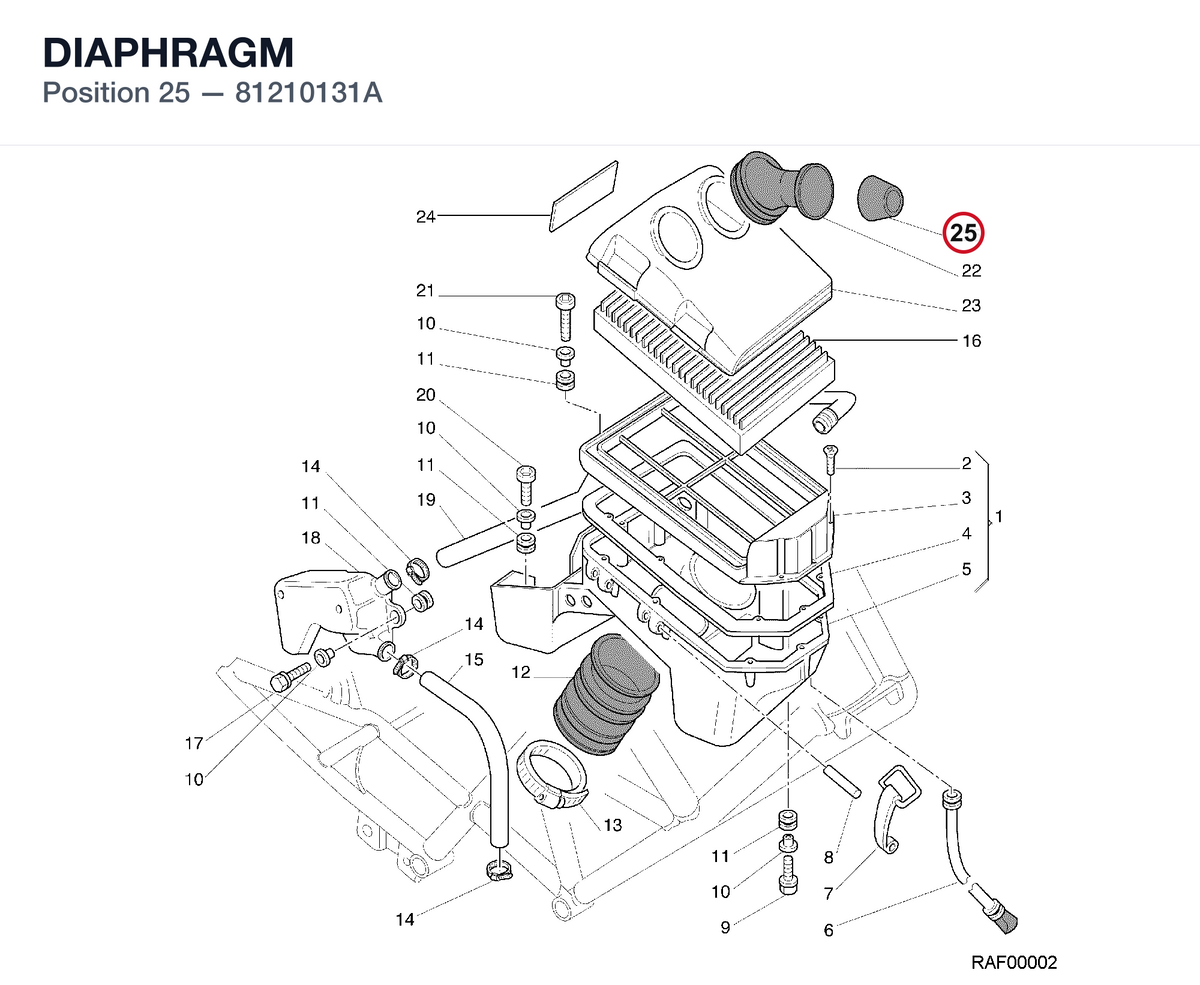 DIAPHRAGM