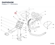 DIAPHRAGM
