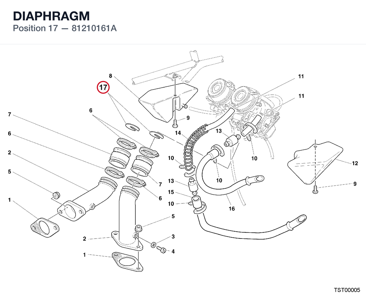 DIAPHRAGM