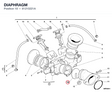 DIAPHRAGM