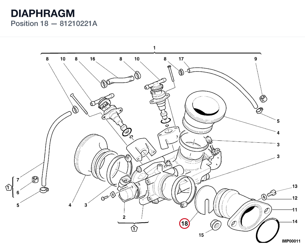 DIAPHRAGM