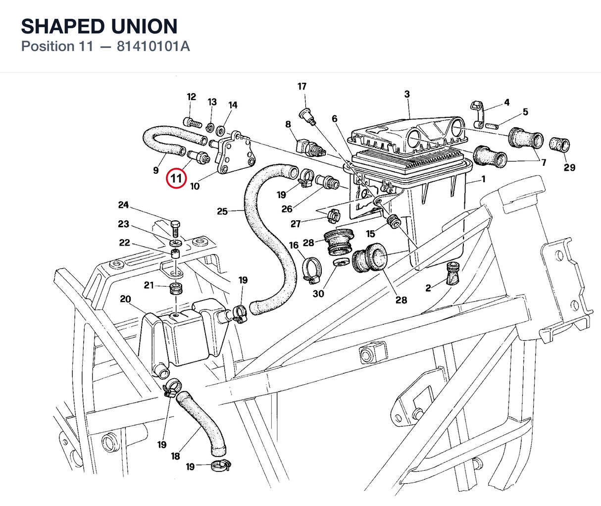 SHAPED UNION