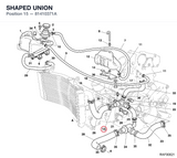 SHAPED UNION