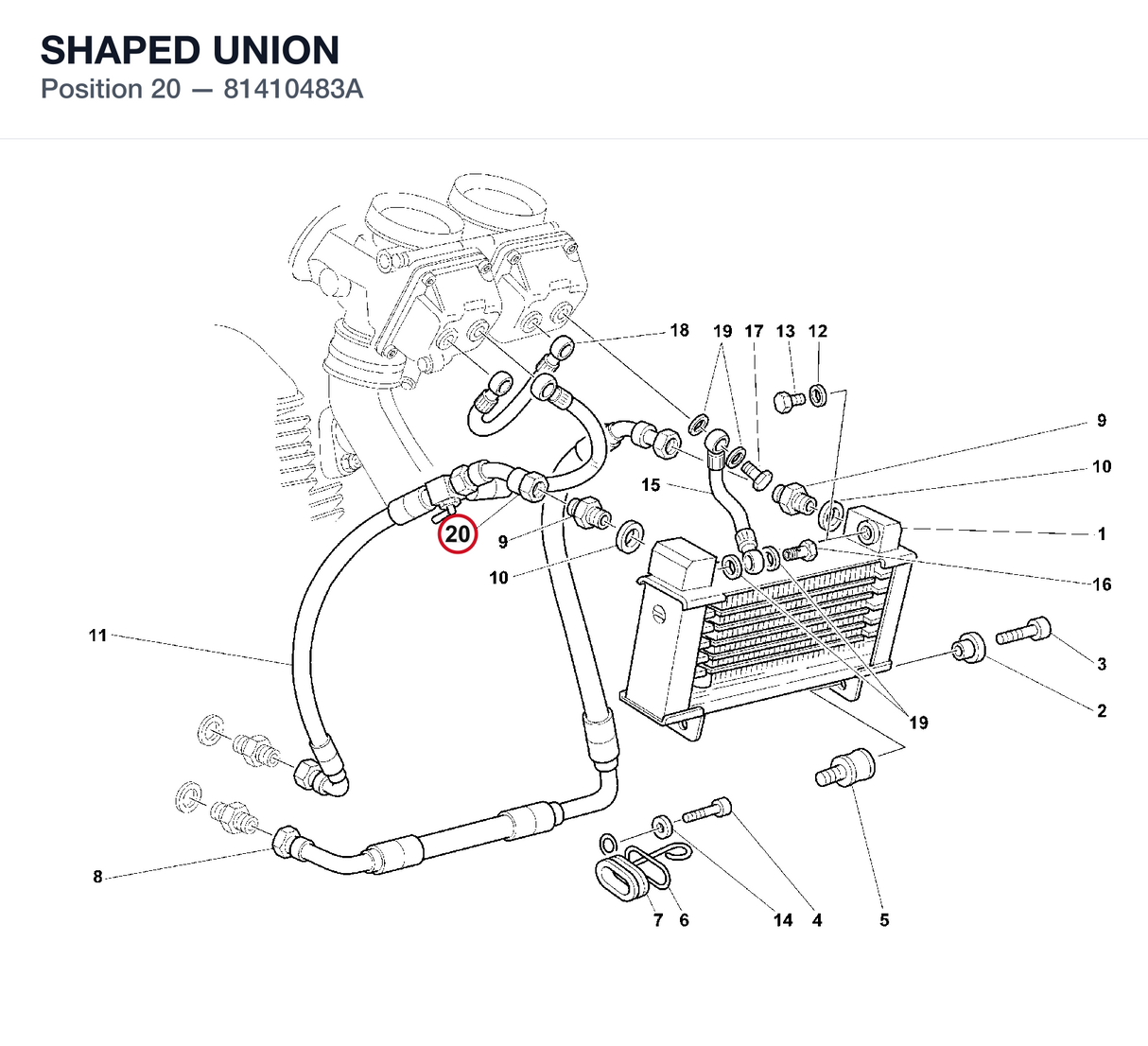 SHAPED UNION