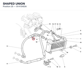 SHAPED UNION