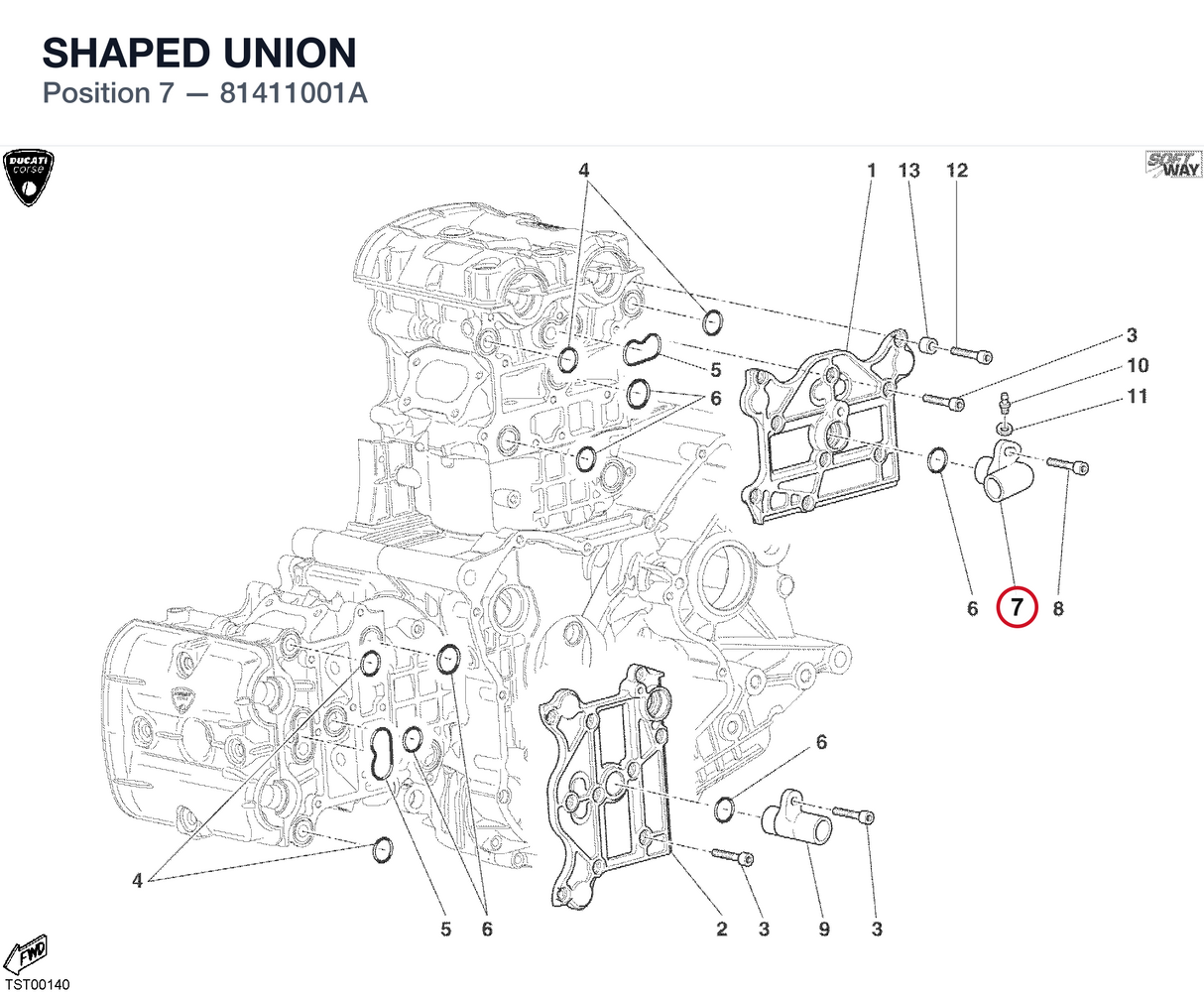 SHAPED UNION