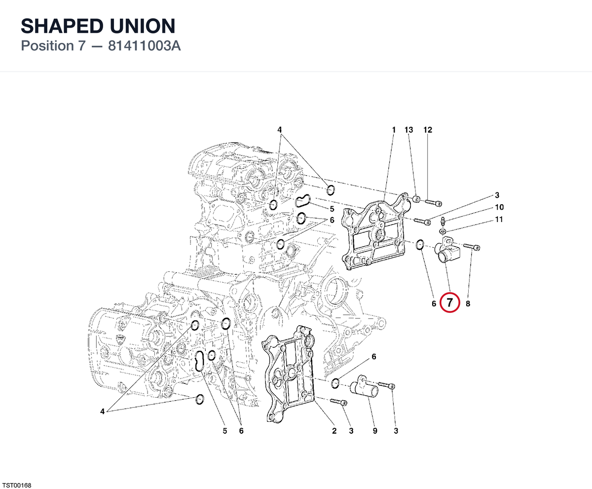 SHAPED UNION