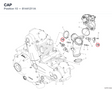 CAP 81441211A diagram position