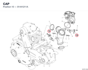 CAP 81441211A diagram position