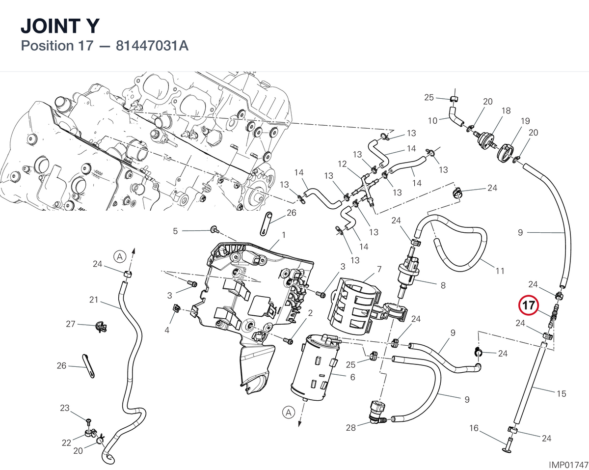 JOINT Y 81447031A diagram position