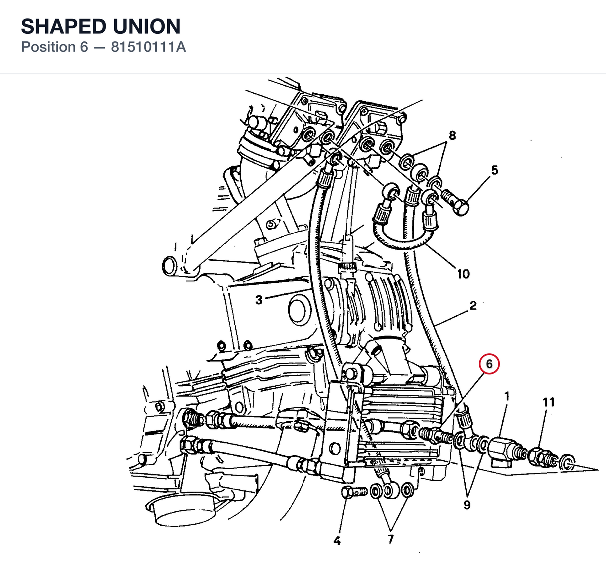 SHAPED UNION