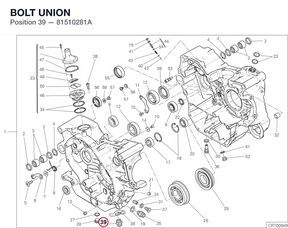 BOLT UNION 81510281A diagram position