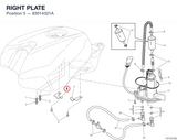 RIGHT PLATE
