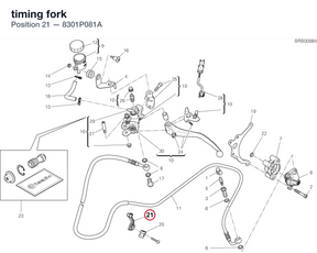 timing fork 8301P081A diagram position