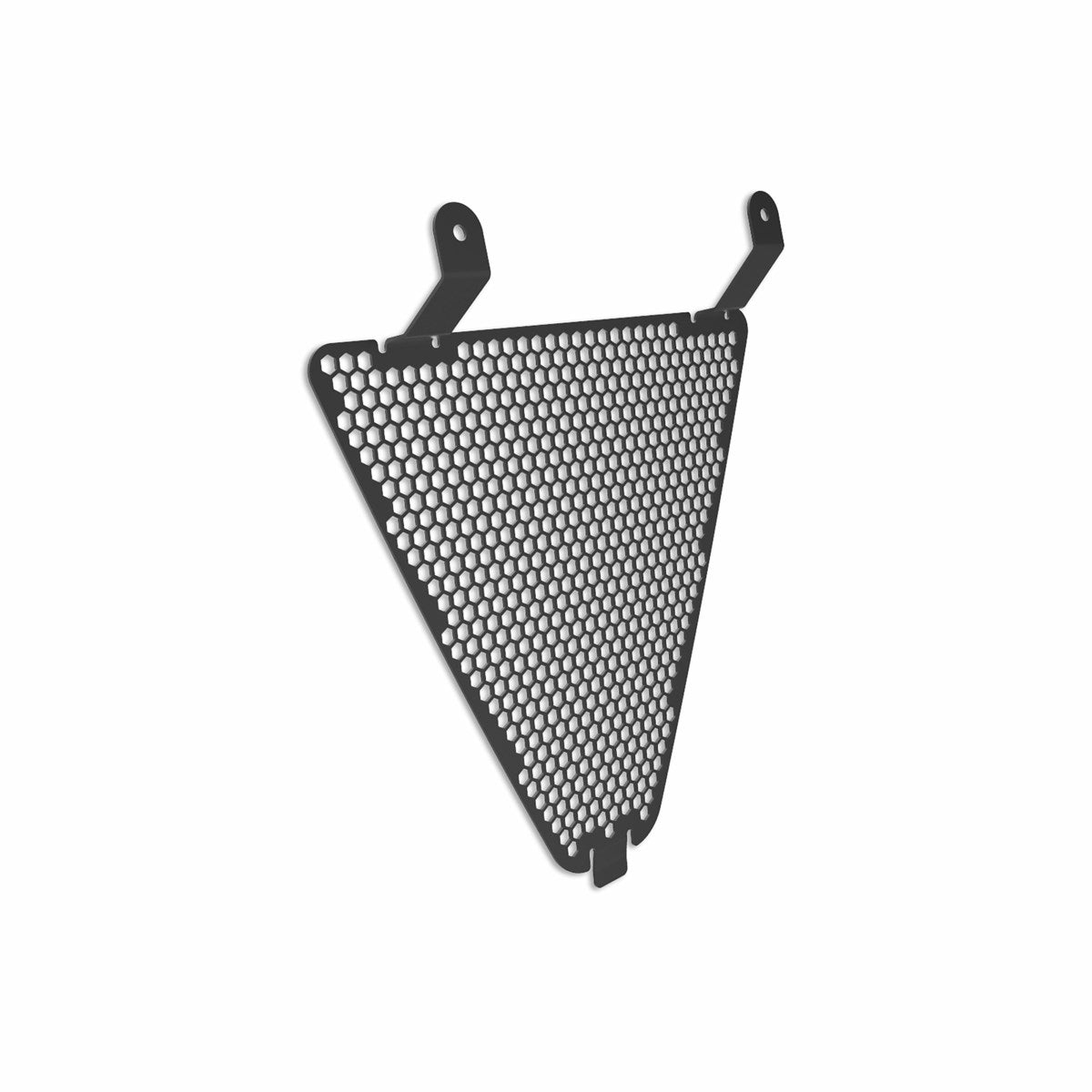 Aluminium protection grid for water radiator (STREETFIGHTER)