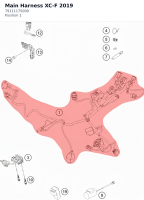 Diagram preview: Main Harness XC-F 2019 (79111175000)