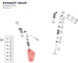 Diagram preview: EXHAUST VALVE (93836031000)