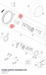 Diagram preview: SPOKE NIPPLE QUADRAX M5 (60310072100)