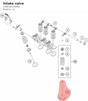 Diagram preview: Intake valve (C90036030000)