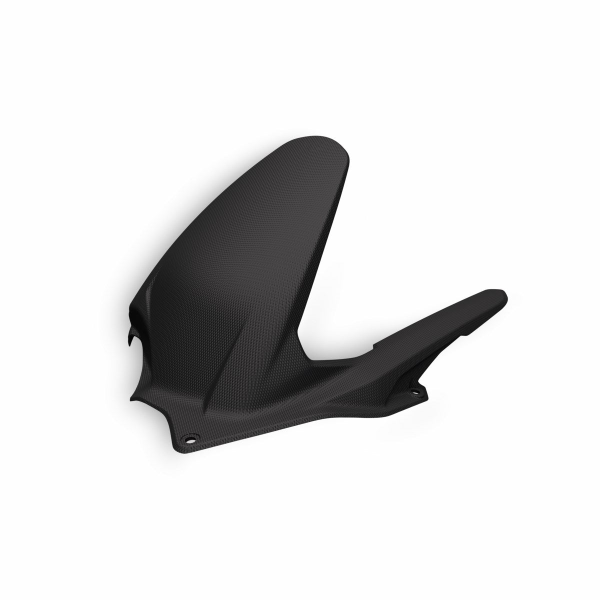 Carbon rear mudguard (STREETFIGHTER)