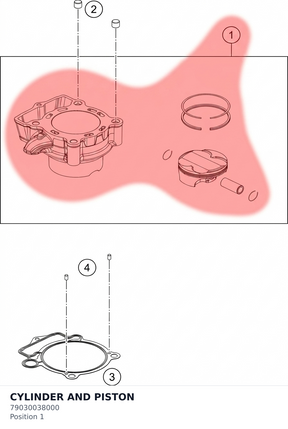 Diagram preview: CYLINDER AND PISTON (79030038000)