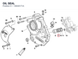 OIL SEAL