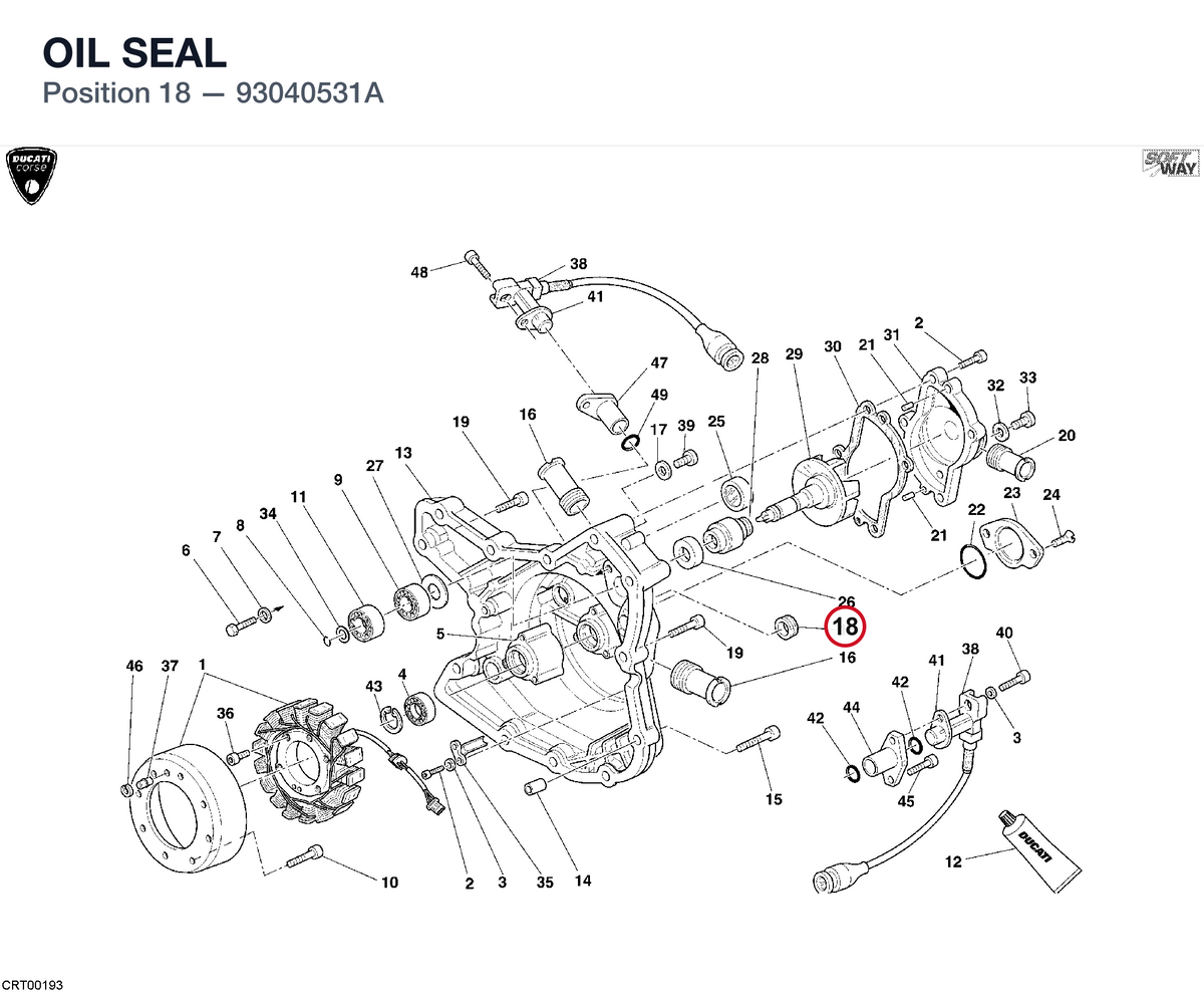 OIL SEAL