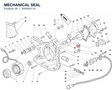 MECHANICAL SEAL