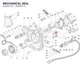 MECHANICAL SEAL
