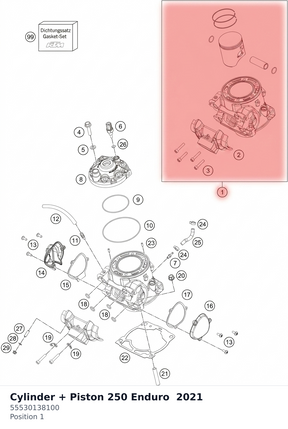 Diagram preview: Cylinder + Piston 250 Enduro  2021 (55530138100)