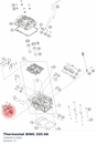Diagram preview: Thermostat BING 205-66 (C90035117000)