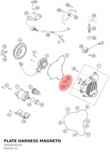 Diagram preview: PLATE HARNESS MAGNETO (55439140120)