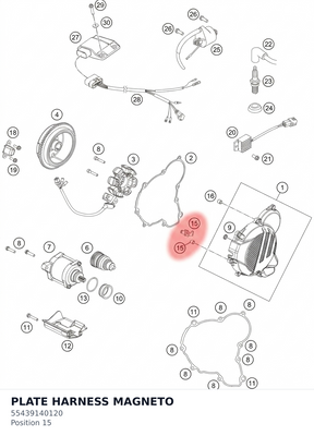 Diagram preview: PLATE HARNESS MAGNETO (55439140120)