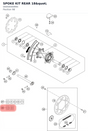 Diagram preview: SPOKE KIT REAR 18" (00050000994)