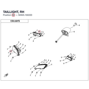 TAILLIGHT, RH product image