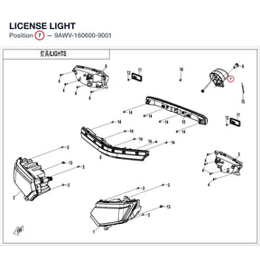 LICENSE LIGHT product image