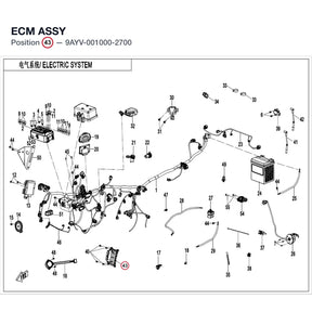 ECM ASSY product image