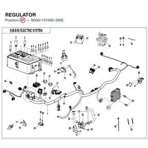 REGULATOR product image