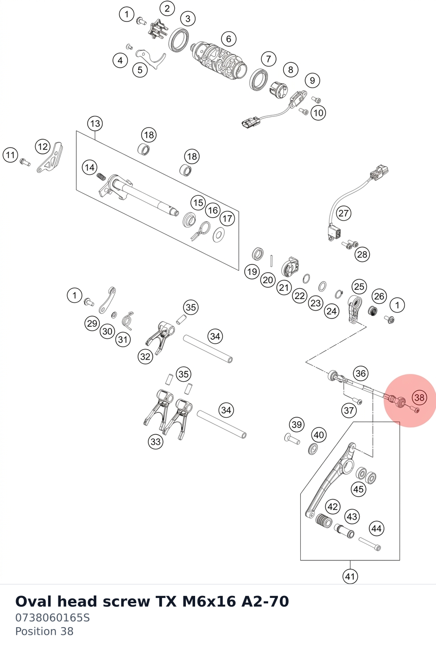 Diagram preview: Oval head screw TX M6x16 A2-70 (0738060165S)