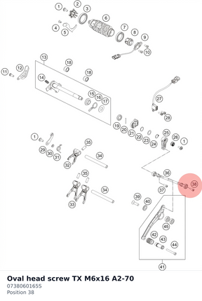 Diagram preview: Oval head screw TX M6x16 A2-70 (0738060165S)