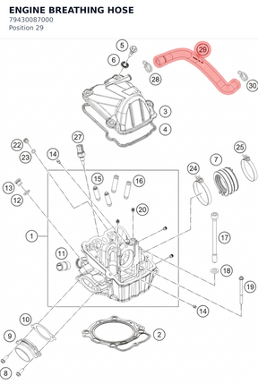 Diagram preview: ENGINE BREATHING HOSE (79430087000)