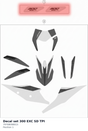 Diagram preview: Decal set 300 EXC SD TPI (79708098015)