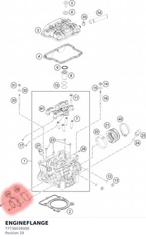 Diagram preview: ENGINEFLANGE (77736039000)