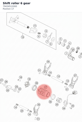 Diagram preview: Shift roller 6 gear (79434512000)
